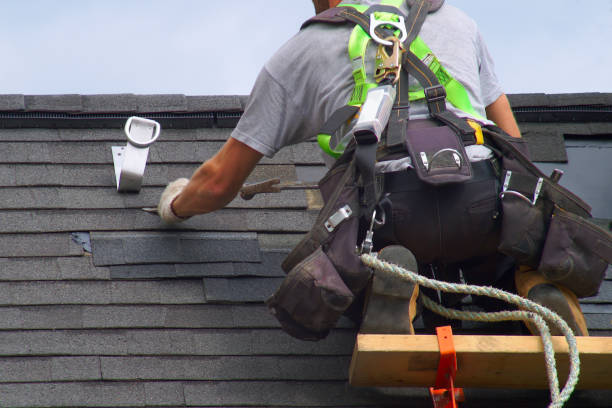 Best Roof Gutter Cleaning  in Hamilton, MO