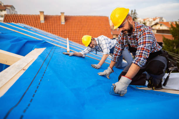 Best Roof Maintenance Services  in Hamilton, MO