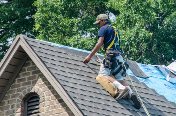 Best Emergency Roof Repair  in Hamilton, MO